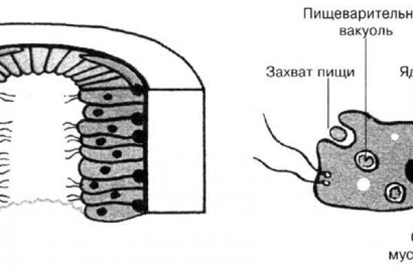 Маркетплейс кракен kraken