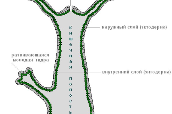 Сайт кракен онион