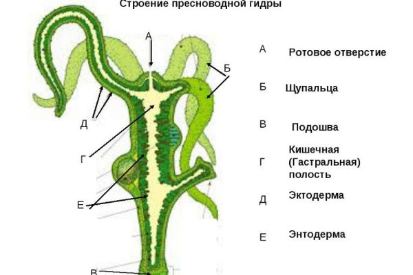 Кракен ссылка trikky